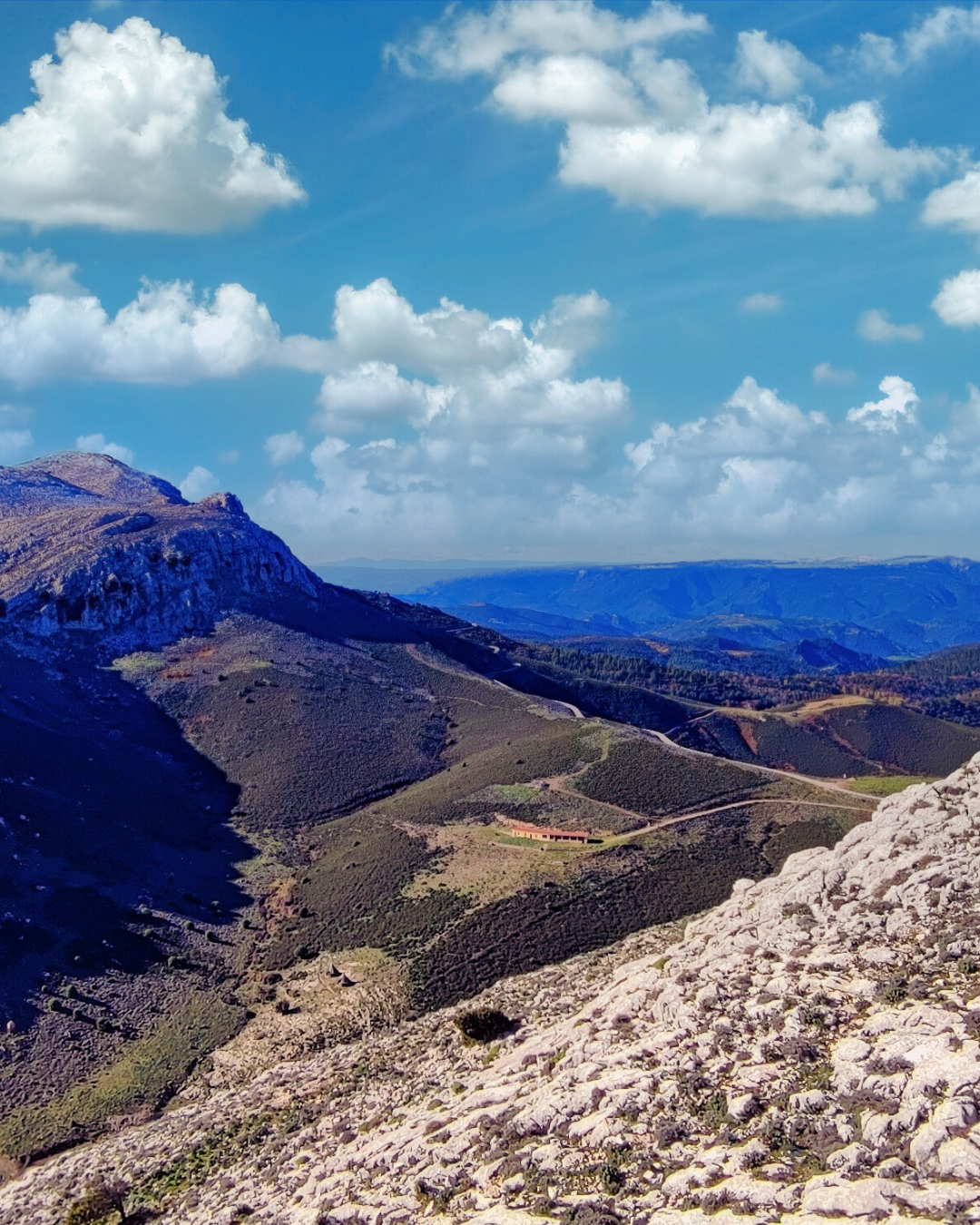 Monte Albo