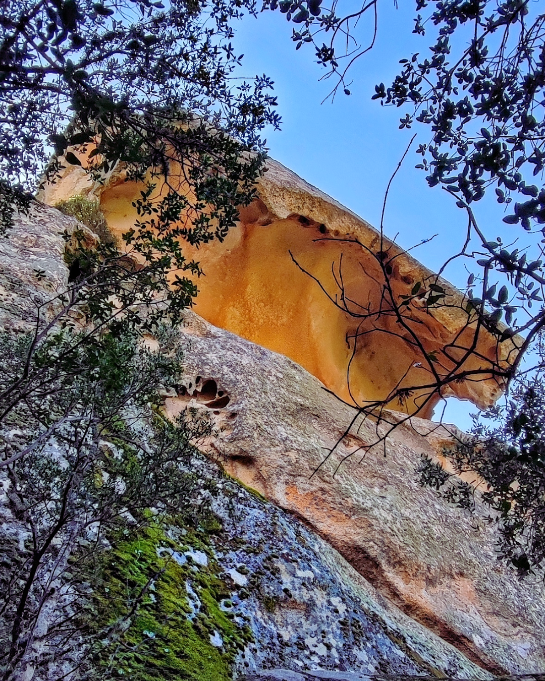 Sa Crabarissa