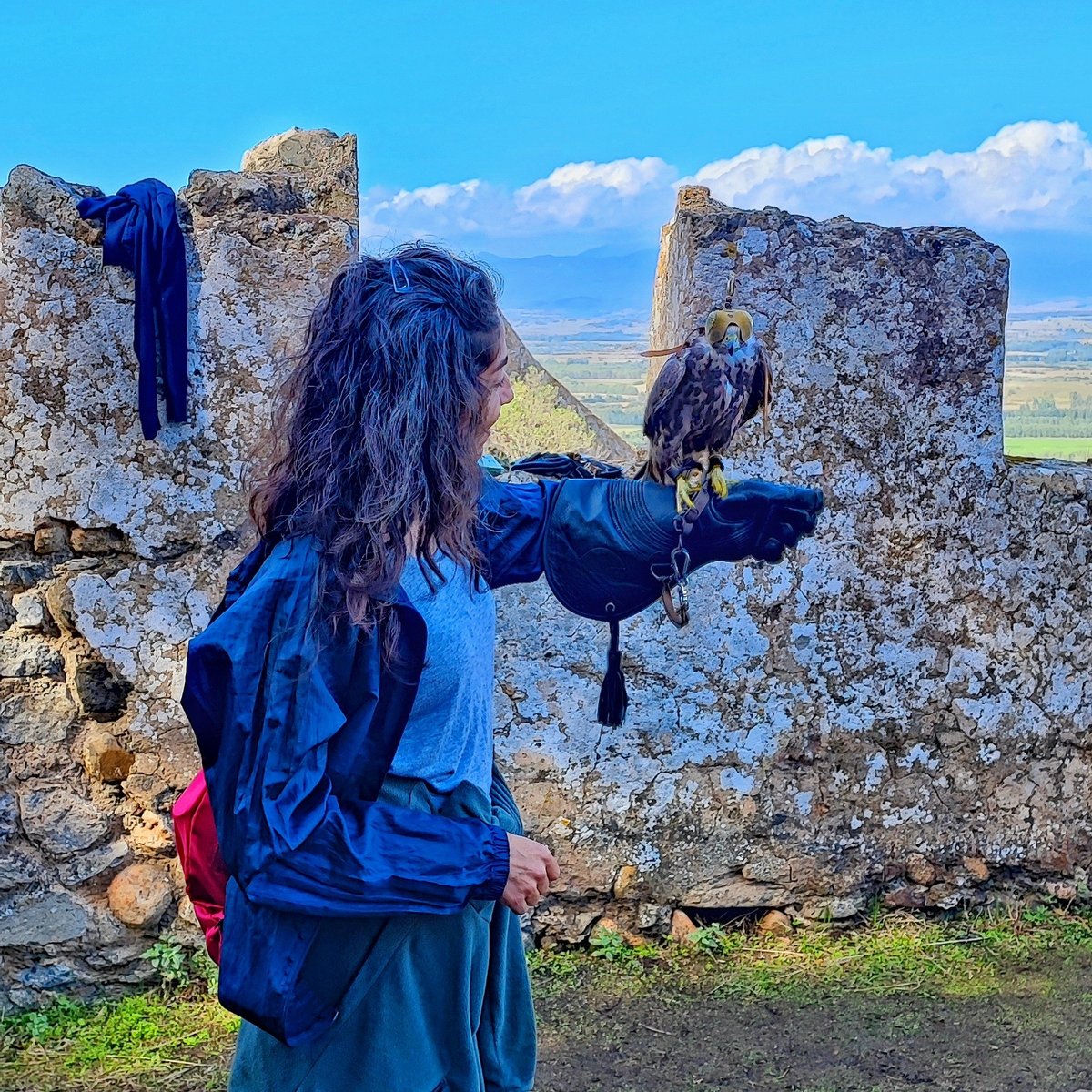 La magia del falco