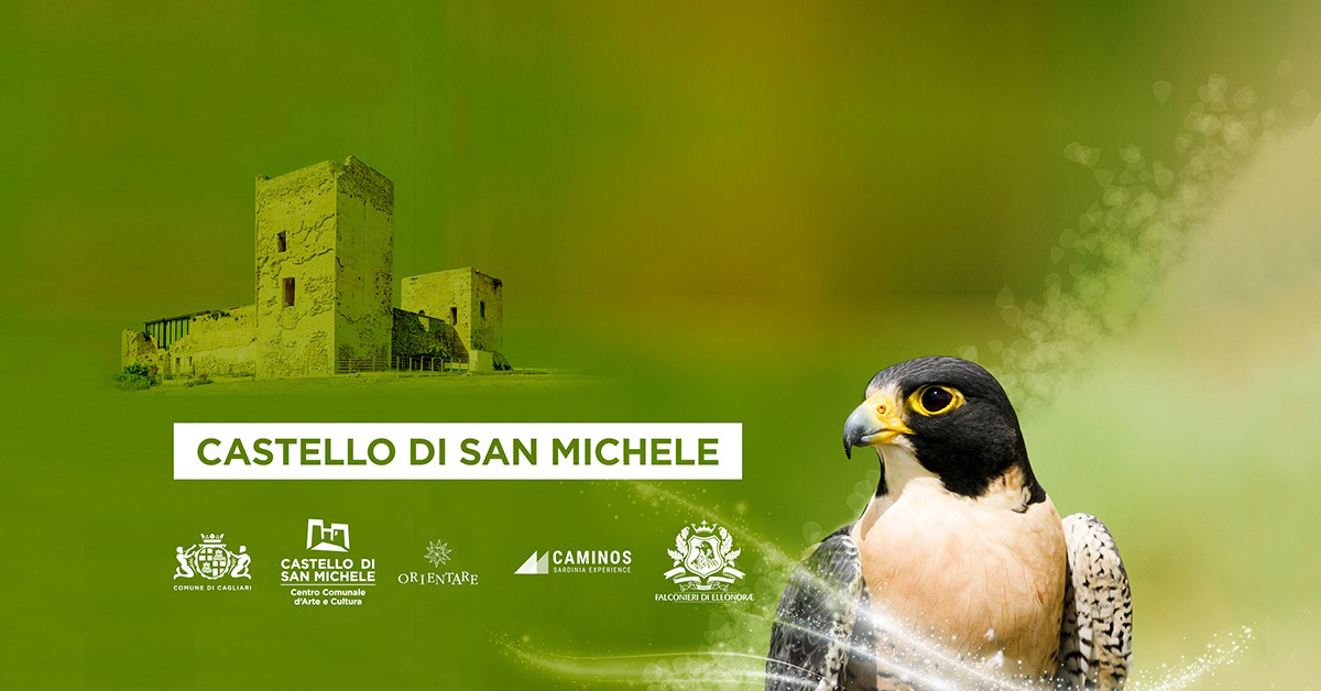 La Magia del Falco